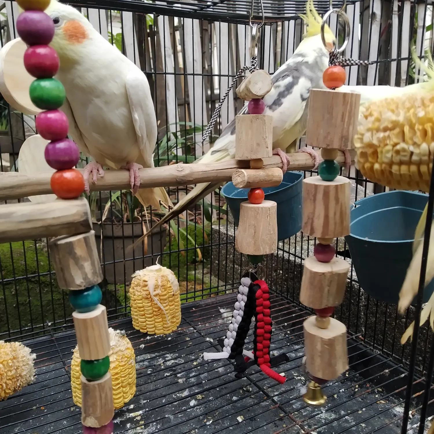 GIGITAN MAINAN BURUNG PARROT
