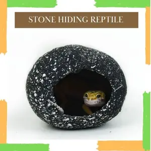 Stone Hiding Cave Tempat Sembunyi Reptile | Gecko | Tarantula