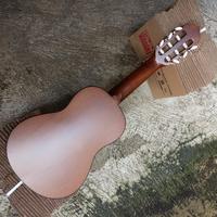 Gambar Gitar Akustik Klasik Nilon Ibanez DG-4 size 1/4 traveling guitalele dari AMTECH MUSIC STORE Kota Administrasi Jakarta Selatan 3 Tokopedia