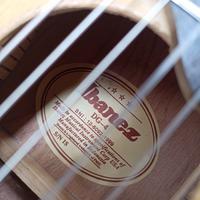 Gambar Gitar Akustik Klasik Nilon Ibanez DG-4 size 1/4 traveling guitalele dari AMTECH MUSIC STORE Kota Administrasi Jakarta Selatan 4 Tokopedia