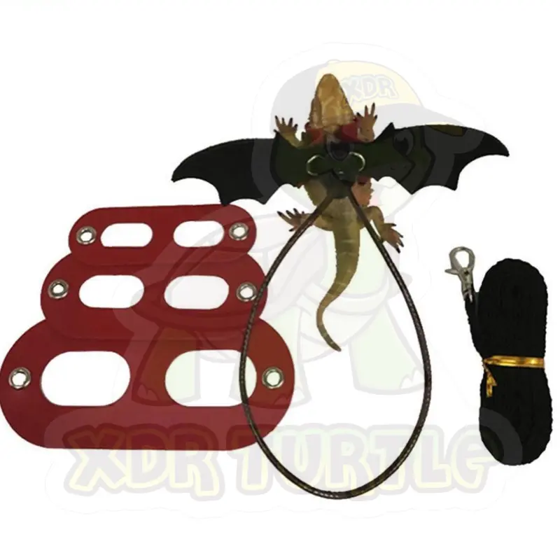 Harness reptil tali bearded dragon salva rhino iguanna marmut guneapig 0