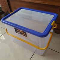 Gambar Kandang kecoak blatta lateralis dan dubia dari spider lover petshop Kota Bandung 2 Tokopedia