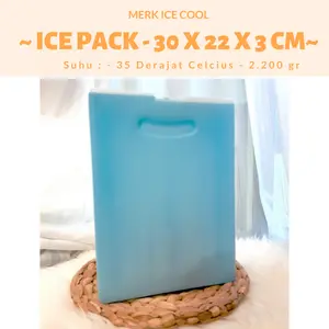 Cool Pack - Ice Pack - Blue Ice Pack