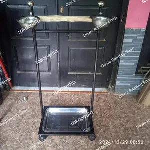 Tangkringan pangkringan burung nuri, afgrey kk tua dan maccaw