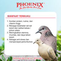 Gambar PHOENIX TERKUKU Pakan Terkuku Untuk Derkuku Puter Pelung Phoenix MILLET PUTIH MERAH dari Phoenix Petfood Indonesia Kab. Bogor 5 Tokopedia