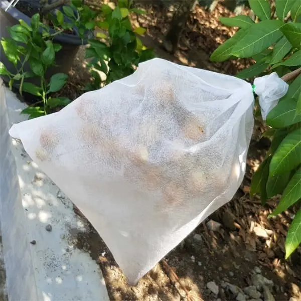 Fruit Cover / Pembungkus Buah - Easy Grow