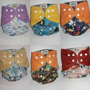 Clodi Ningrat Front Snap 2 Insert Microfiber