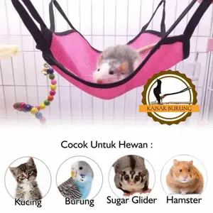 Single Hammock ayunan tempat tidur gantung kucing sugar glider hamster