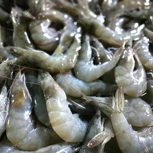 Udang Sedang 500gr