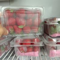 Gambar strawberry - 200gr dari Anabulsawangan Kota Depok 1 Tokopedia