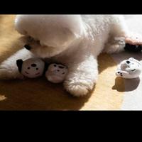 Gambar Disney Tsum Tsum 101 Dalmatian Squeaky Dog Toy Set - Mainan Anjing dari Puppi Qube Store Kota Administrasi Jakarta Barat 3 Tokopedia