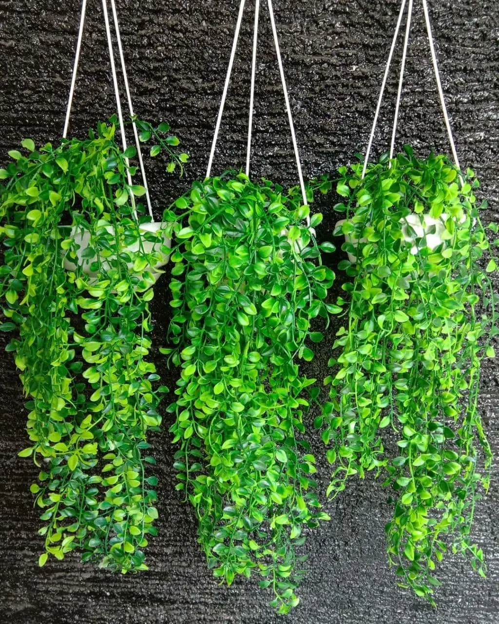 BUNGA KEMUNING + POT / Bunga juntai / daun juntai bahan plastik - daun semi latex yellow white heart