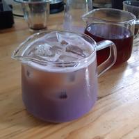 Gambar Taro Latte Powder / Bubuk Minuman "Taro Latte" dari Coffeeland Indonesia Official Kota Bandung 4 Tokopedia