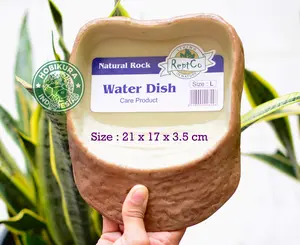 Water Dish ReptCo Size L / Tempat Minum Kura Darat / Tortoise Reptile