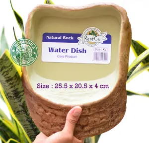 Water Dish ReptCo Size XL / Tempat Minum Kura Darat / Tortoise Reptile