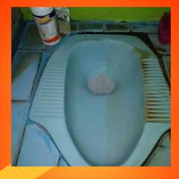 Gambar Pembersih Kerak Kloset - Free Kuas dari Ayse-Collection Kota Administrasi Jakarta Selatan 3 Tokopedia