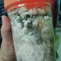Gambar Bekasam ikan/pekasam ikan 500 gram dari Gudang makanan wong kito Kota Palembang 3 Tokopedia