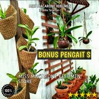 Gambar pot bunga anggrek sabut kelapa kerucut dari Omah Pot Kebumen Kab. Kebumen 5 Tokopedia