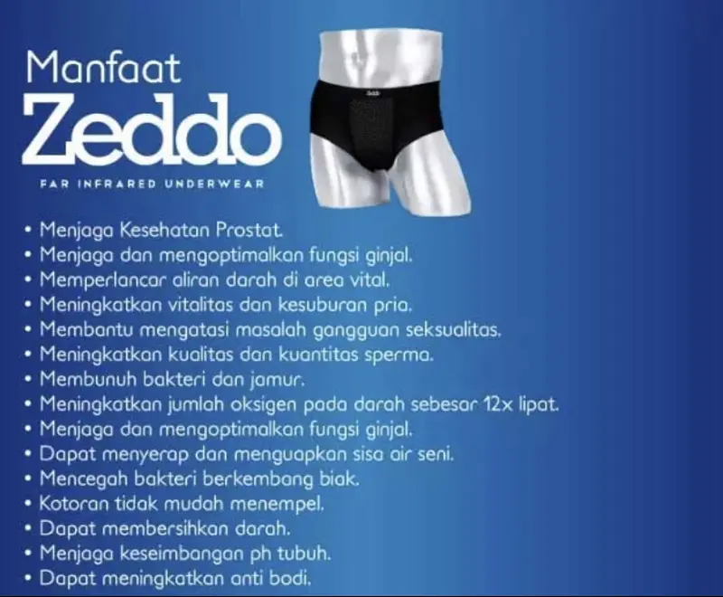 Zeddo Zeus underwear celana dalam kesehatan 3