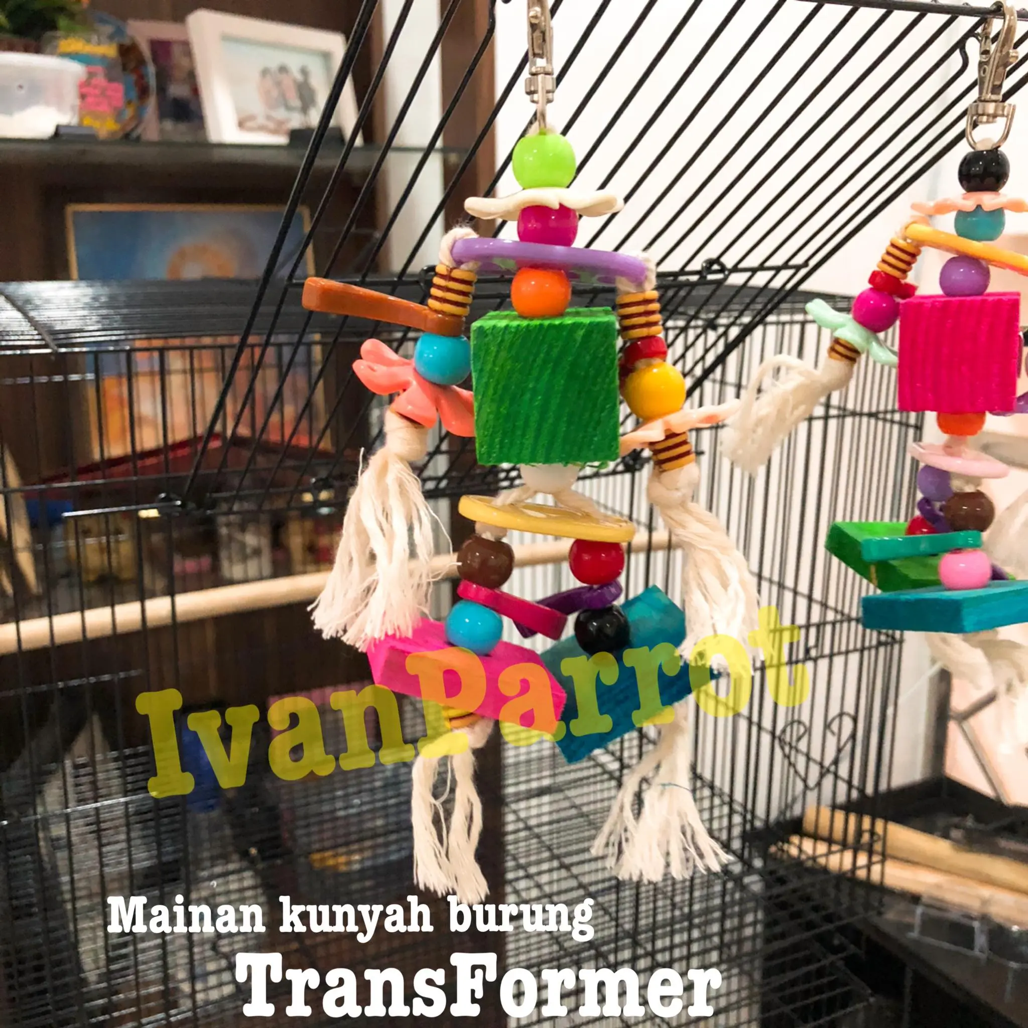 TRANSFORMER MAINAN KUNYAH BURUNG PARROT