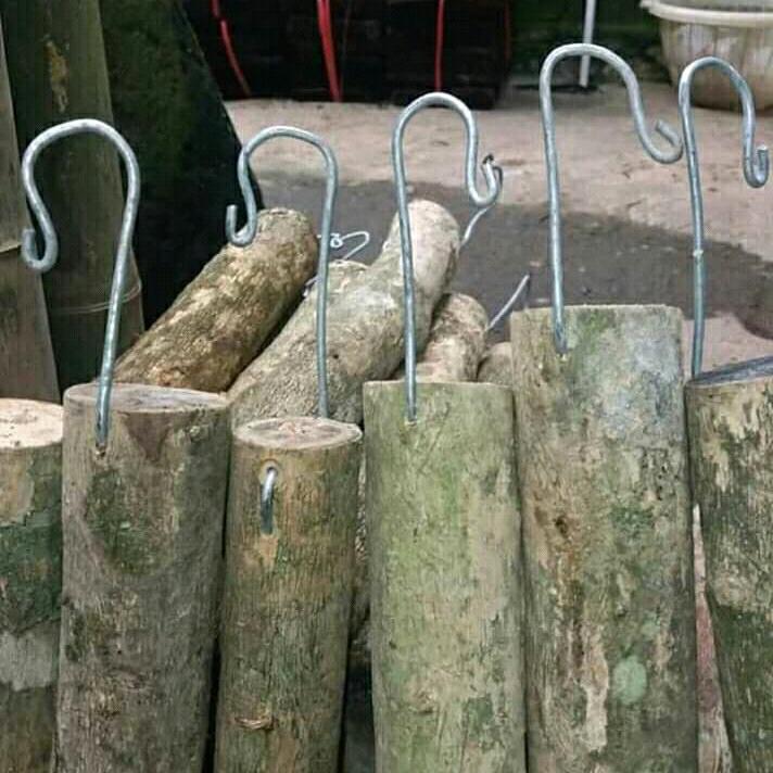 media tanam anggrek kayu kopi gantungan 0