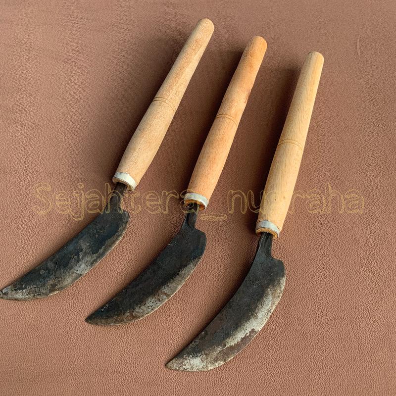 Eicer Raut PISAU RAUT BAMBU - Shop | Tokopedia