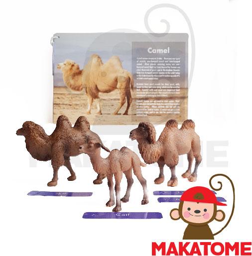 Gambar Animal Family Figurine - Wild2 Montessori Sensory - Camel figurin dari Makatome Shop Kota Tangerang Selatan Tokopedia