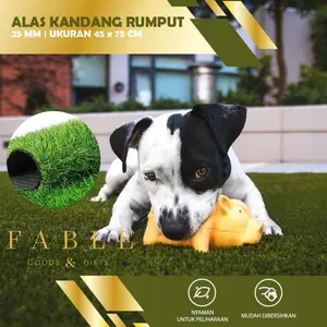 ALAS RUMPUT KANDANG KUCING / ANJING / TORTOISE / SUGAR GLIDDER 45X75