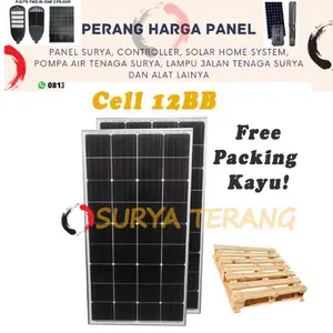 Paket 2pcs Solar Panel 160wp Mono 160wp Monocrystalline + Packing Kayu