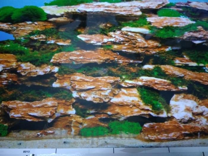 Gambar WALLPAPER BACKGROUND AQUARIUM MOTIF 8013 TINGGI 50 CM AQUASCAPE 50CM dari ADRAQUATIC Kota Bandung Tokopedia