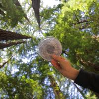 Gambar Lampu Outdoor Portable Luci Outdoor 2.0 Solar Inflatable Light dari Kayak Outdoor Kota Bogor 4 Tokopedia