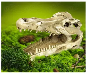 Hiding Cave Ornamen Reptil Ular Gecko Dart Frog BD Nomoy NS-60