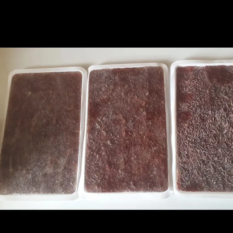 cacing beku tray 1kg 0