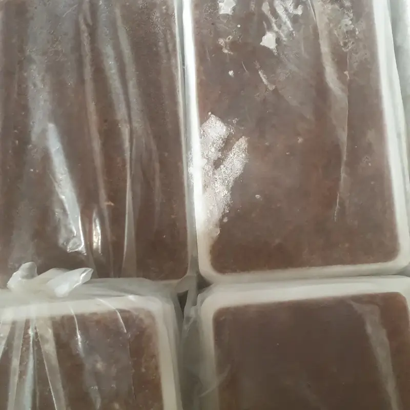 cacing beku tray 1kg 1
