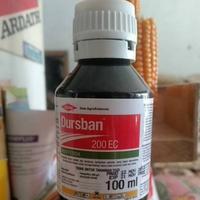 Gambar Dursban 200ec 100ml Obat Hama Tanam Pembunuh Serangga dari Fiorenza Flora Jakarta Timur 2 Tokopedia