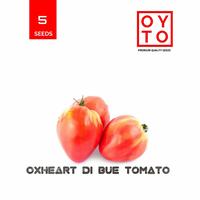 Gambar BENIH TOMAT OXHEART BIBIT SAYURAN BENIH TANAMAN HEIRLOOM dari PETANI-KAMPUNG Kota Bekasi 1 Tokopedia