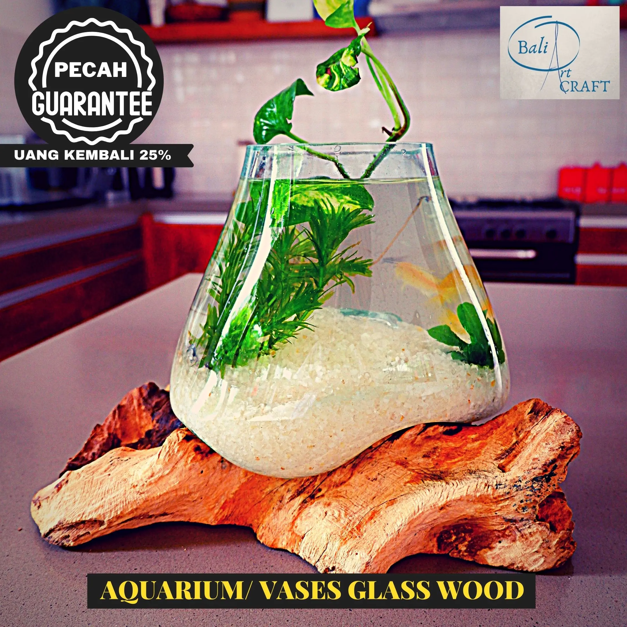 AKUARIUM UNIK IKAN CUPANG SIZE XL / KACA TIUP AKAR / AQUASCAPE / VASES