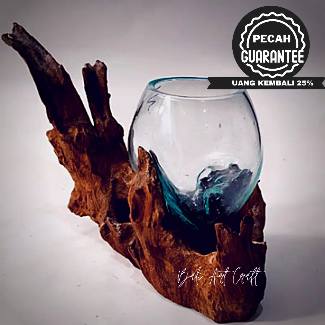 AKUARIUM IKAN CUPANG 12 CM / AQUARIUM AKAR UNIK / AQUASCAPE / POT HIAS