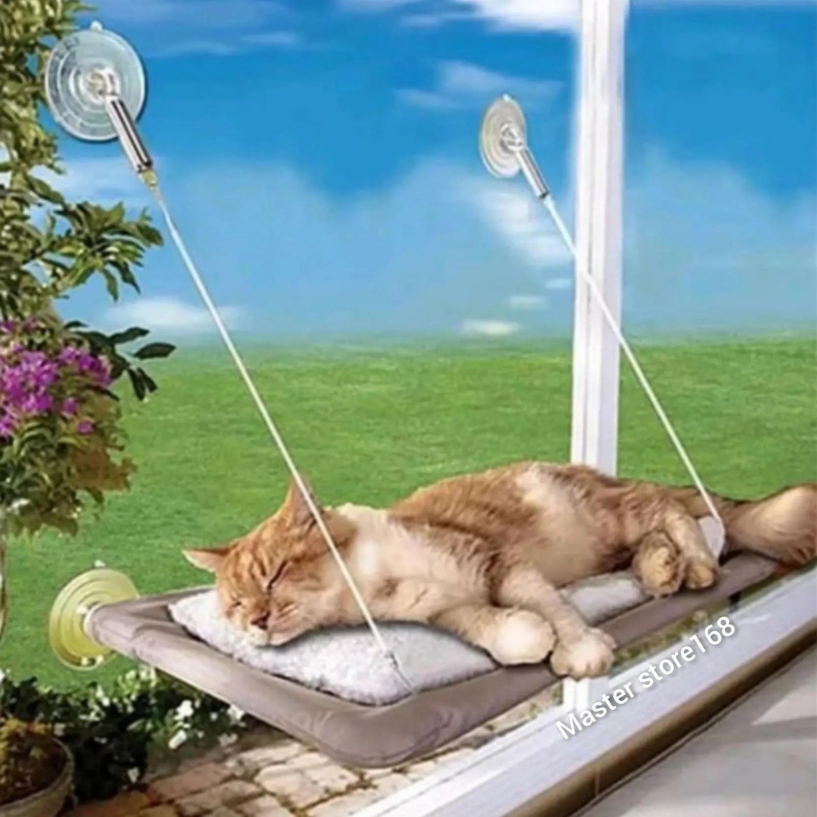 sofa tempat tidur kucing sunny seat di jendela