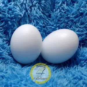 Dummy Egg / Telur Palsu Falk/ Cockatiel