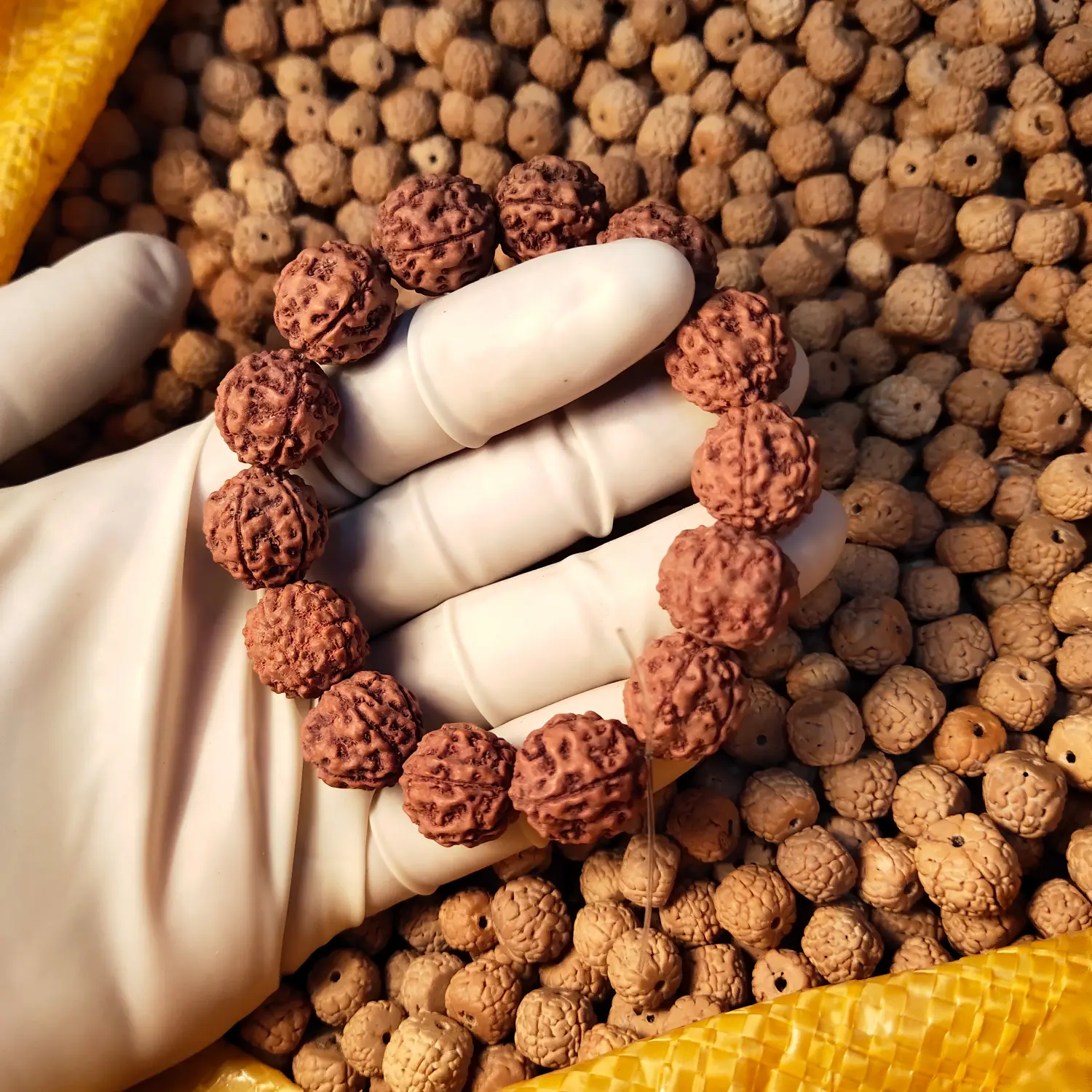 gelang jenitri rudraksha alami B
