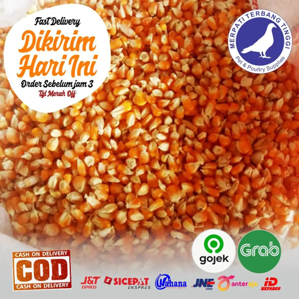 Jagung Kristal Pakan Burung Ayam Merpati Hamster Bebek Jagung Kristal