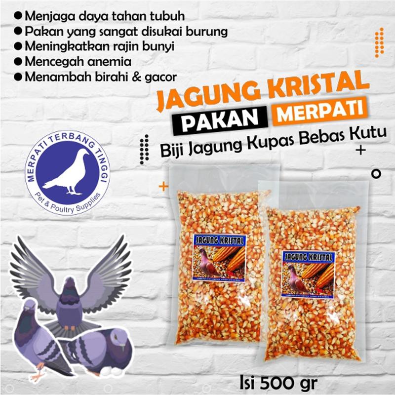 Jagung Kristal Pakan Burung Ayam Merpati Hamster Bebek Jagung Kristal 2