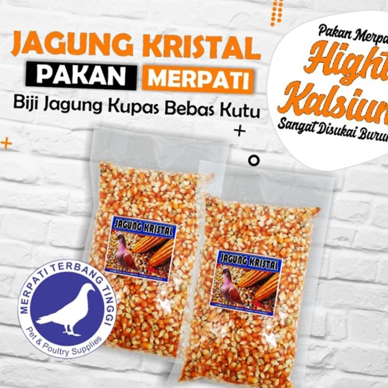 Jagung Kristal Pakan Burung Ayam Merpati Hamster Bebek Jagung Kristal 1