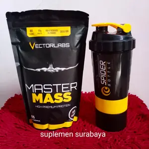 Vectorlabs Master Mass Gainer 2Lbs BPOM Harga Grosir