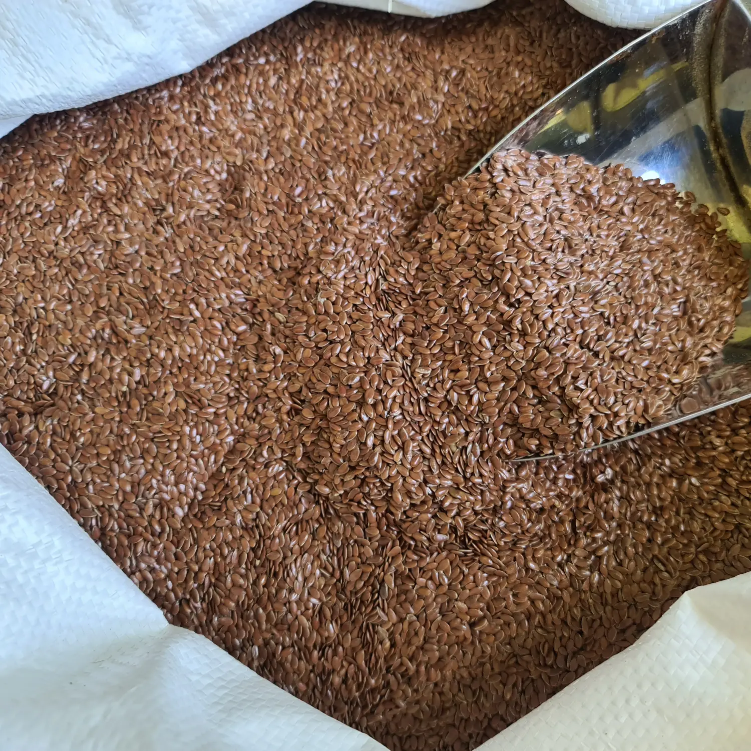 Brown Flaxseed Organic 500gr - Biji Rami Kualitas Bagus