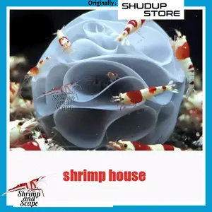 Shrimp Baby Bee Shelter / Tempat Sembunyi Anakan Udang Hias