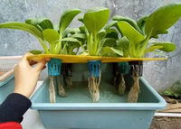 Gambar Bak segi abu-abu dari Atapponik Store Kota Surabaya 3 Tokopedia