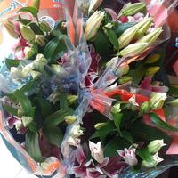 Gambar Casablanca lily fresh. - 7017 Bunga lili asli. Lily fresh kuntum. dari Gaby Bella Florist Kota Administrasi Jakarta Selatan 2 Tokopedia