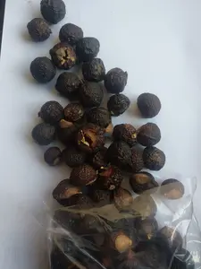 LERAK DAGING TANPA BIJI 1 KG KUALITAS SUPER